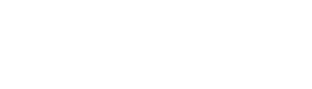 Fox-IT logo